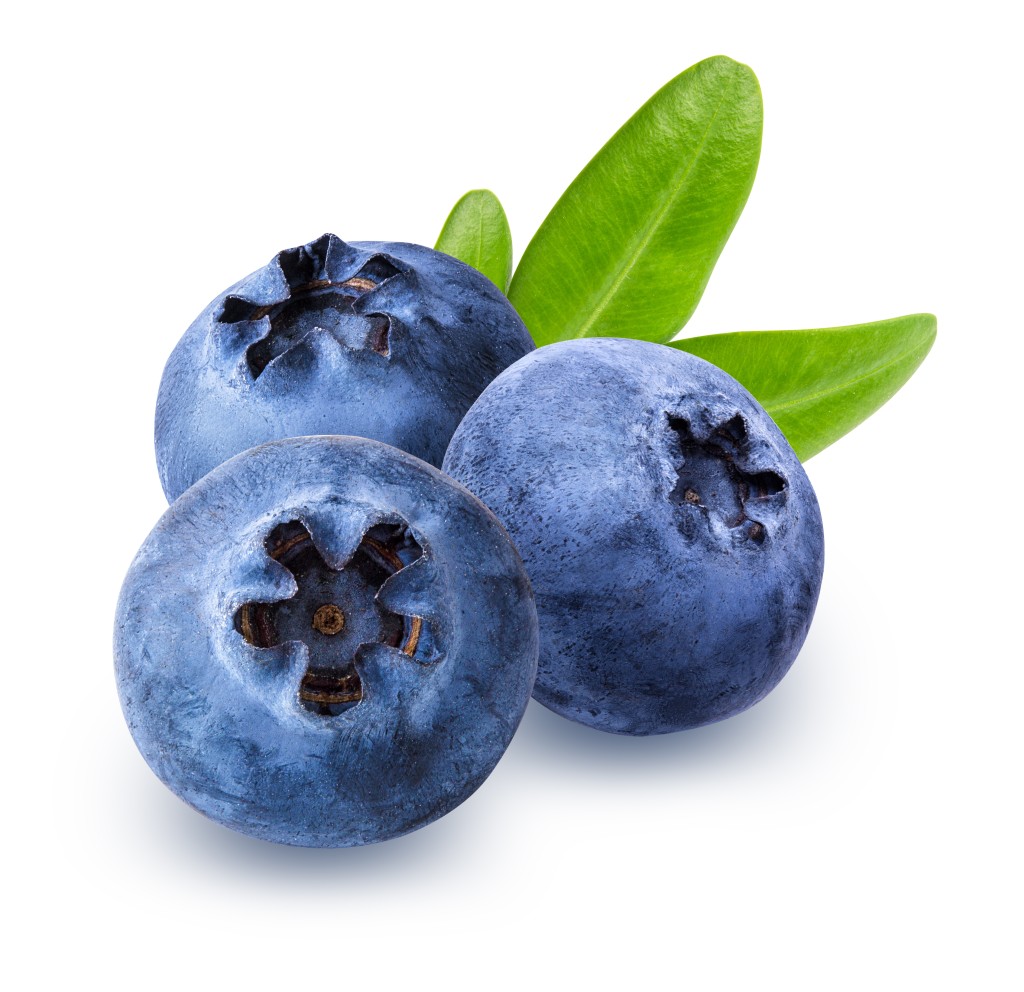 蓝莓（图片来源：iStock）